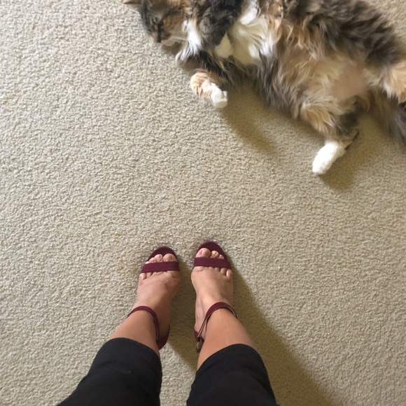 Used . - Picture 4 of 5